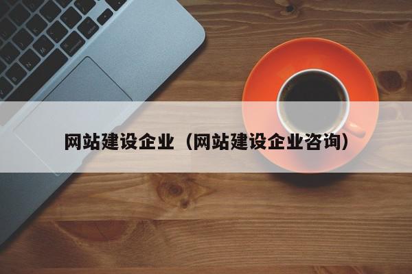 網(wǎng)站建設(shè)企業(yè)（網(wǎng)站建設(shè)企業(yè)咨詢(xún)）