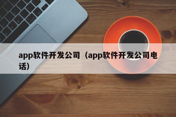 app軟件開發(fā)公司（app軟件開發(fā)公司電話）