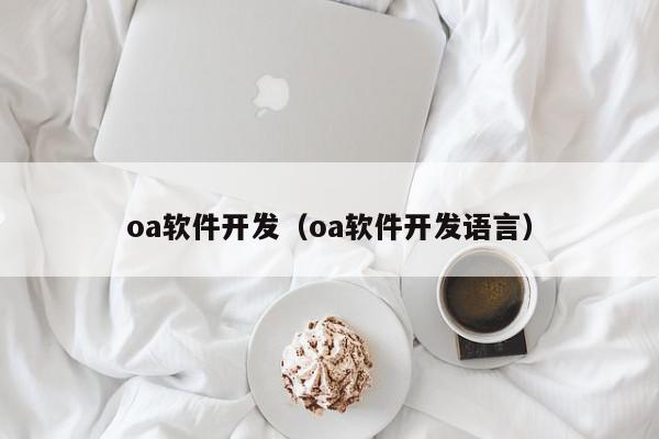 oa軟件開發(fā)（oa軟件開發(fā)語言）