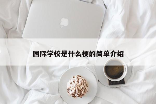 國際學(xué)校是什么梗的簡單介紹