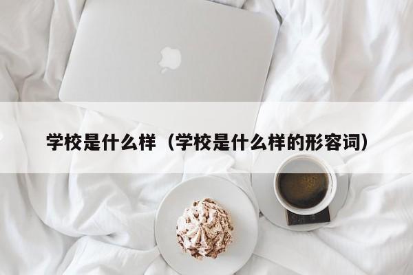 學校是什么樣（學校是什么樣的形容詞）